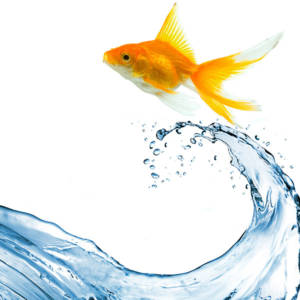 aquafitness-aqua-bodystyle-600px Aquafitness