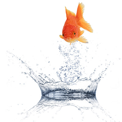 Fotolia