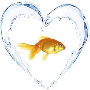 aquafitness-senior-fit-600px Aquafitness